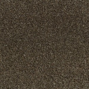 Dublin Heather Mink Carpet