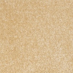 Dublin Heather Beige Carpet
