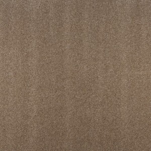 Dublin Heather Biscuit Carpet