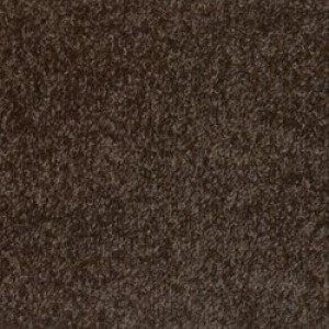 Dublin Heather Chestnut Carpet