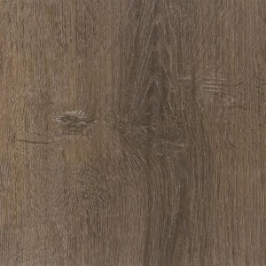 Shitake