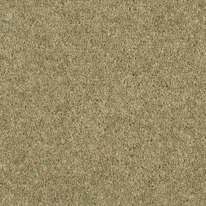 Olive Grove Durham Twist Carpet