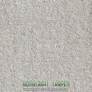 Innovation Honesty Carpet