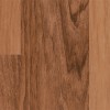 Lancewood Van Gogh