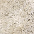 Cream Harmony Rug