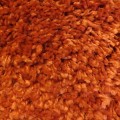 Orange Harmony Rug