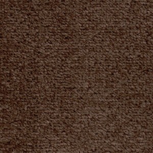 Chestnut brown carpet from Dublin Twist