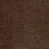 Chestnut brown carpet from Dublin Twist