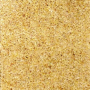 Haystack Carpet - Durham Twist