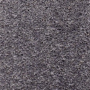Pewter Carpet - Durham Twist