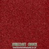 red-carpet-hire